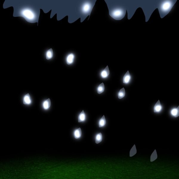 Nightfall Signals