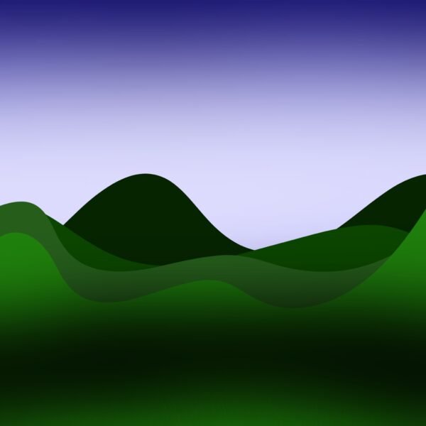 Valley Silence