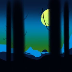 Sunset Silhouettes
