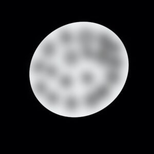 Moon in Stillness
