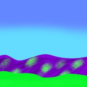 Lush Meets Lavender